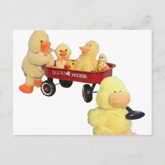 Ducky Flyer Briefkaart (Voorkant)