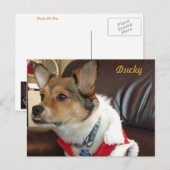Ducky het Briefkaart van de Dog (Voorkant / Achterkant)