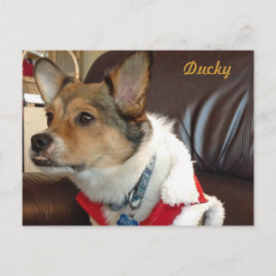 Ducky het Briefkaart van de Dog