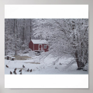 Ducky Kerstmis Poster