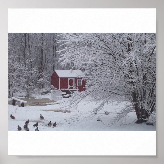 Ducky Kerstmis Poster (Voorkant)