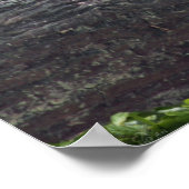 Ducky Print Geen Rand -24x20-andere beschikbare gr (Hoek)