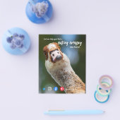 ductie van de geweldige immobiliënbank flyer (Enkel)