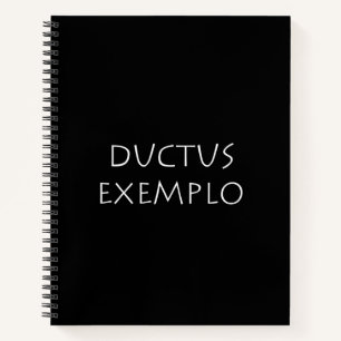 Ductus voorbeel notitieboek