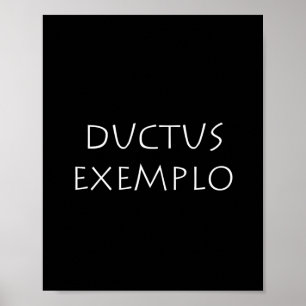 Ductus voorbeel poster