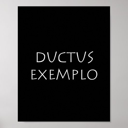 Ductus voorbeel poster (Voorkant)