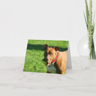 Dudley 2 Note Card Kaart