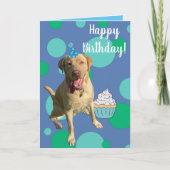 Dudley Labrador Birthday Kaart (Voorkant)