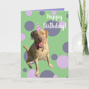 Dudley Labrador Birthday Kaart