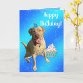 Dudley Labrador Birthday Kaart (Gele Bloem)