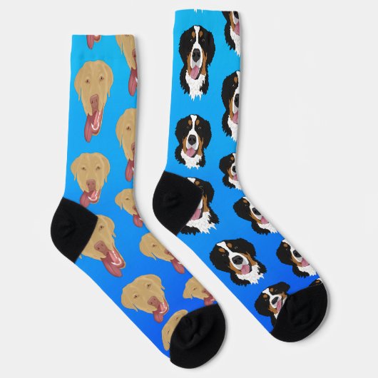 Dudley Labrador en Bernese Mountain Dog Sokken (Rechts)
