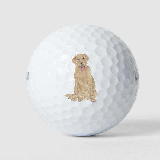 Dudley Labrador Golfballen (Voorkant)