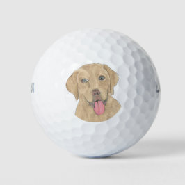 Dudley Labrador Golfballen