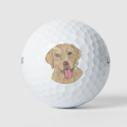 Dudley Labrador Golfballen (Voorkant)