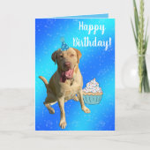 Dudley Labrador Verjaardagskaart Kaart (Voorkant)