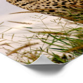 Dudley River Bank Poster (Hoek)