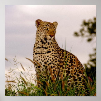 Dudley River Bank Poster