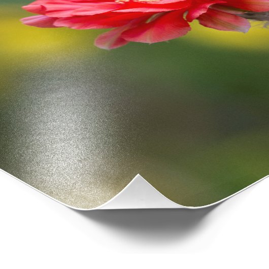 Duet van het vuurlicht foto afdruk (Hoek)