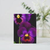 Duet van paarse pansieën, bloemen van de staat Was Briefkaart (Staand voorkant)