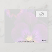Duet van paarse pansieën, bloemen van de staat Was Briefkaart (Achterkant)