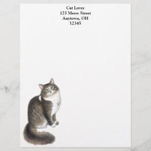 Duffy de Maine Coon Cat Letterhead Custom Briefhoofd