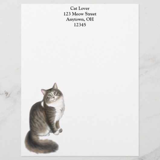 Duffy de Maine Coon Cat Letterhead Custom Briefhoofd (Voorkant)