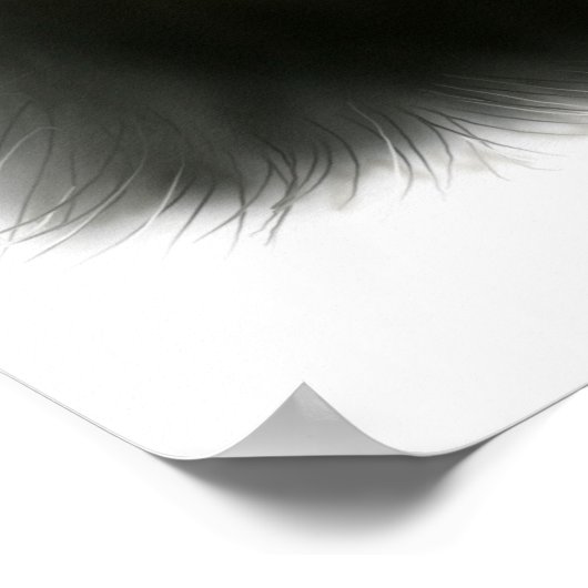 Duffy de Maine Coon Cat Print