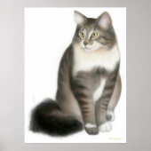 Duffy de Maine Coon Cat Print