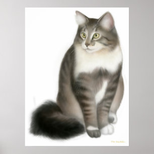 Duffy de Maine Coon Cat Print