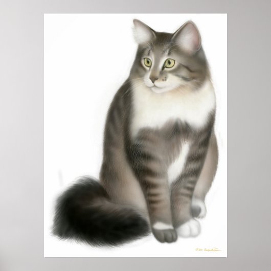 Duffy de Maine Coon Cat Print (Voorkant)