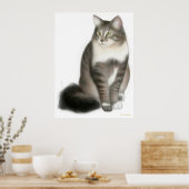 Duffy de Maine Coon Cat Print (Keuken)