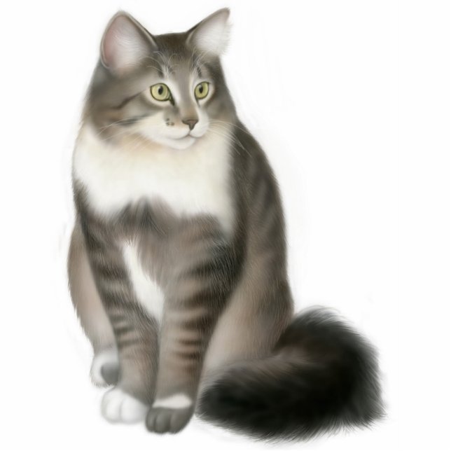 Duffy the Maine Coon Cat Ornament Fotobeeldje Ornament (Voorkant)