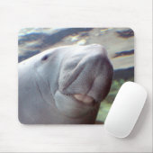 Dugong Smile Muismat (Met muis)