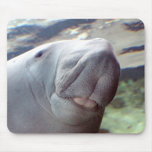 Dugong Smile Muismat (Voorkant)