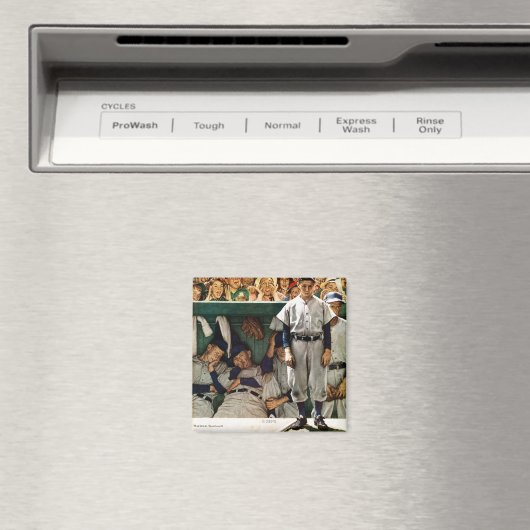 Dugout Magneet (Insitu (Vaatwasser))