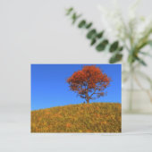 Duidelijk Briefkaart Autumn Day (Staand voorkant)