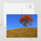 Duidelijk Briefkaart Autumn Day (Voorkant / Achterkant)