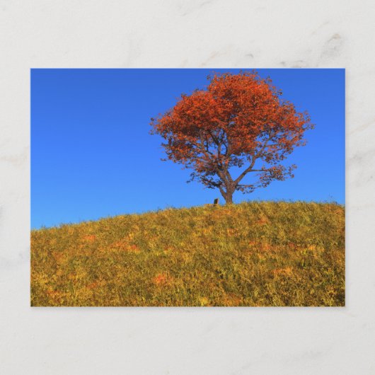 Duidelijk Briefkaart Autumn Day (Voorkant)