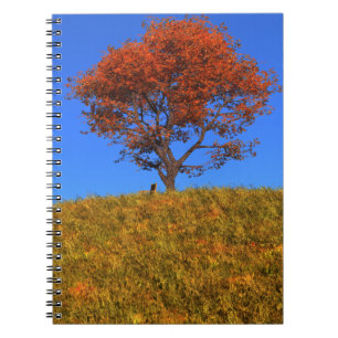 Duidelijk Notitieboek Autumn Day