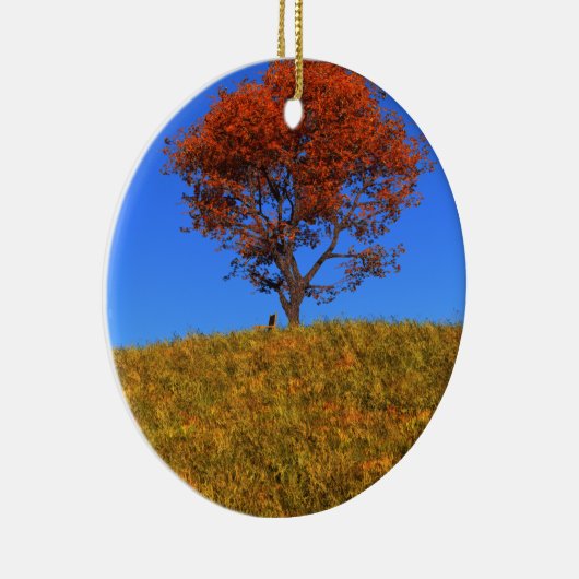 Duidelijk Ornament Autumn Day (Rechts)