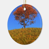 Duidelijk Ornament Autumn Day (Links)