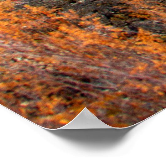 Duidelijk Poster van het Oregon-najaar (Hoek)