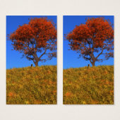 Duidelijke Autumn Day Bladwijzer Visitekaartje (Voorkant /achterkant)