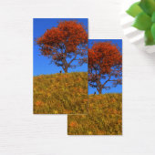 Duidelijke Autumn Day Bladwijzer Visitekaartje (Bureau)