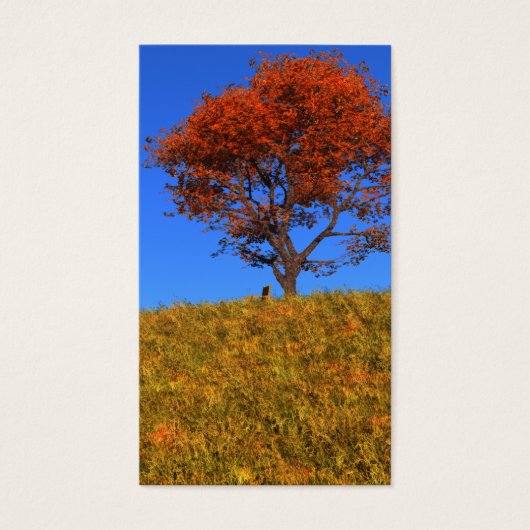 Duidelijke Autumn Day Bladwijzer Visitekaartje (Voorkant)