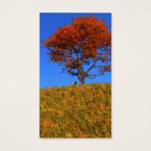 Duidelijke Autumn Day Bladwijzer Visitekaartje (Achterkant)