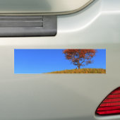 Duidelijke Autumn Day Bumpersticker (Op auto)