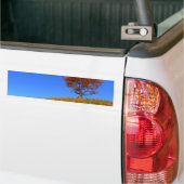 Duidelijke Autumn Day Bumpersticker (Op Truck)