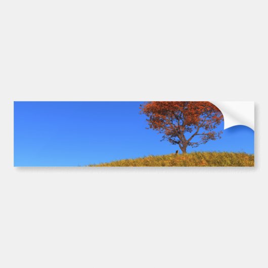 Duidelijke Autumn Day Bumpersticker (Voorkant)