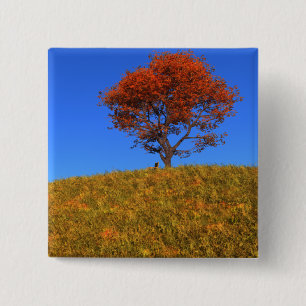 Duidelijke Autumn Day Button